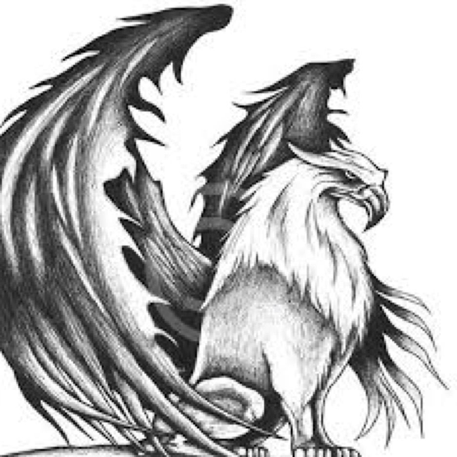 Image found from Google